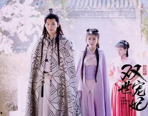 双世宠妃在线观看免费,穿越时空的甜蜜邂逅  第1张